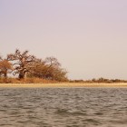 Senegal